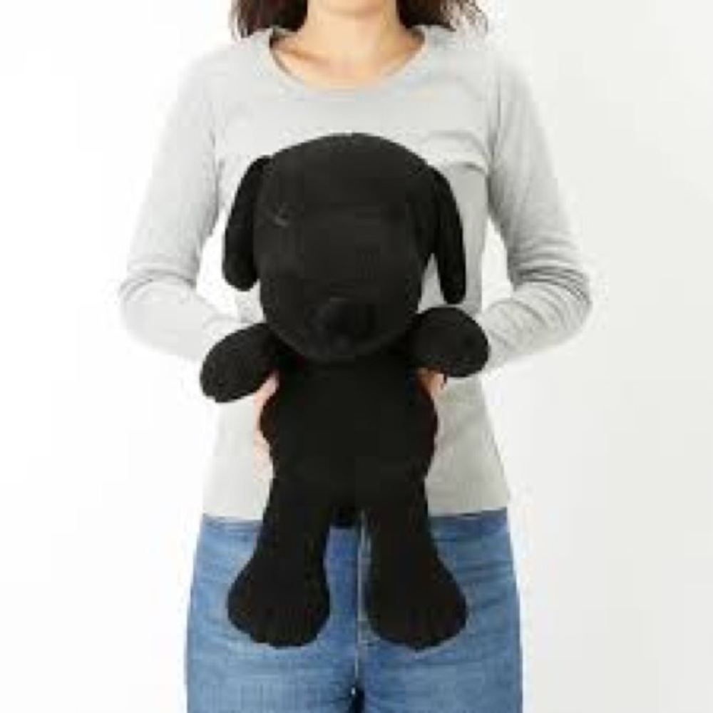 Kaws x Uniqlo Plush Snoopy Peanuts Toy
